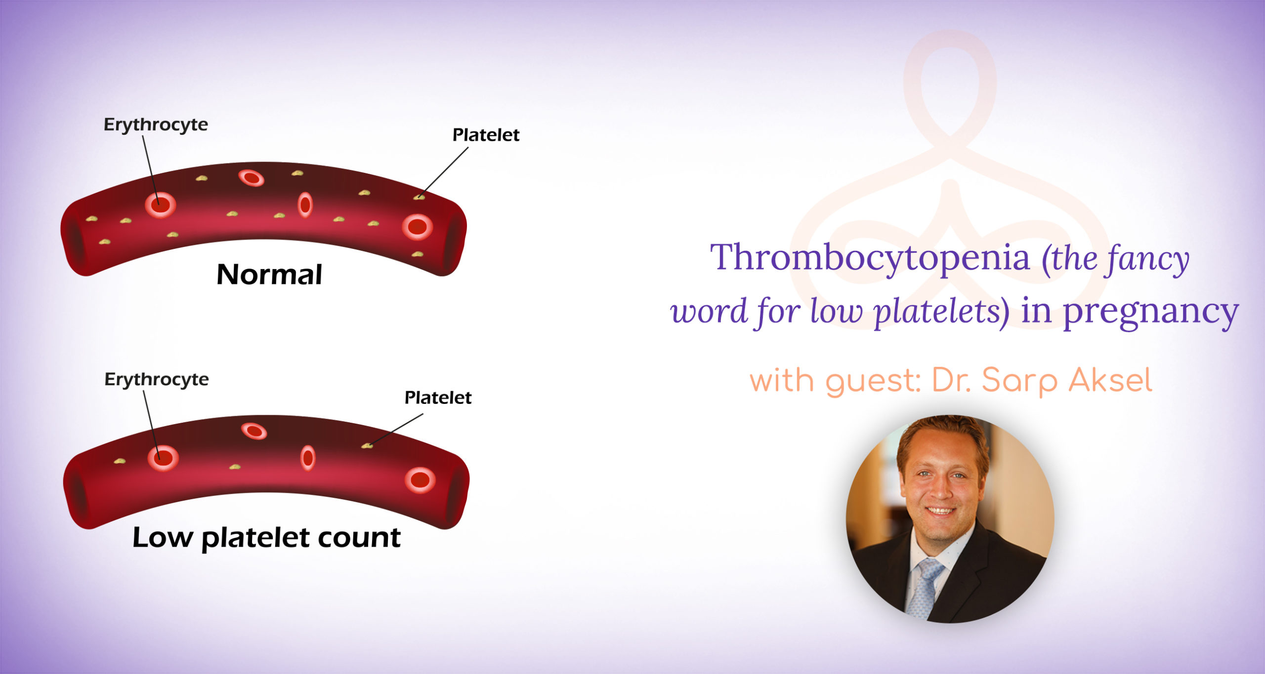 wellscript-llc-thrombocytopenia-low-platelet-counts